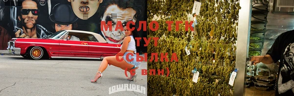 эйфоретик Каменка