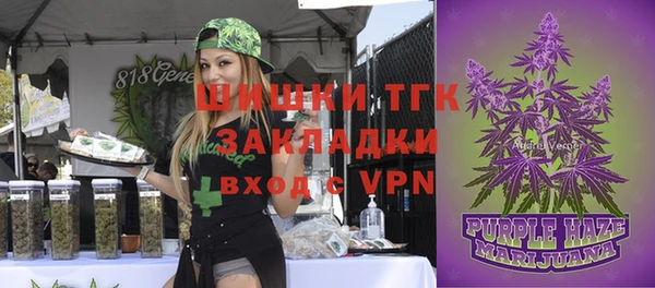 дурь Каменногорск