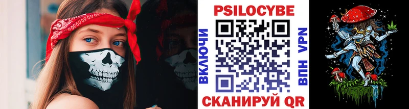 Купить закладки  Переславль-Залесский  Псилоцибиновые грибы прущие грибы 